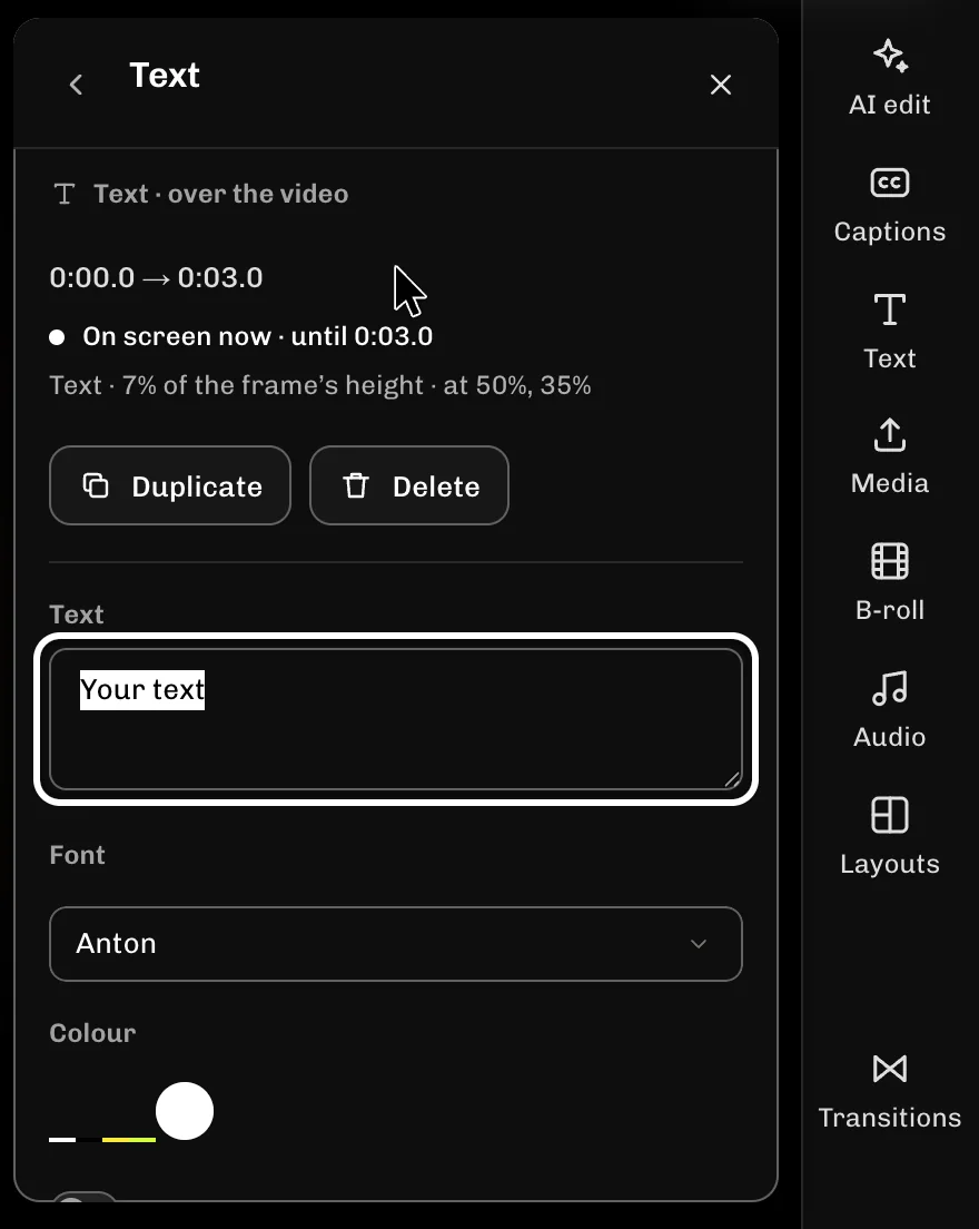 ReelFyre Editor, step 3: Type your words in the Text box.