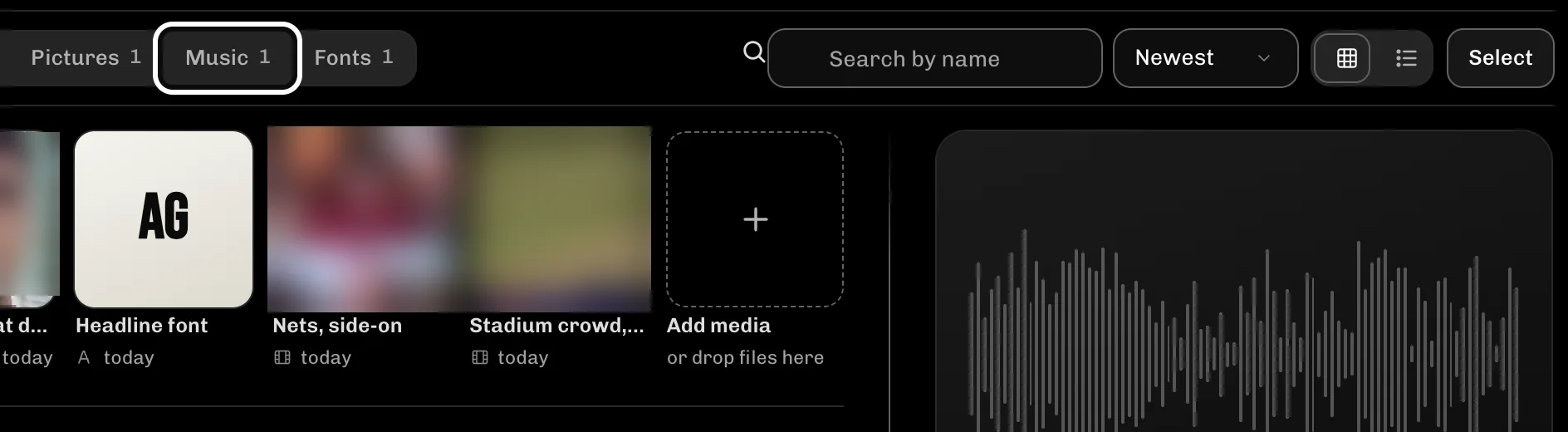 ReelFyre Media assets, step 2: Select Music to see the tracks you added.