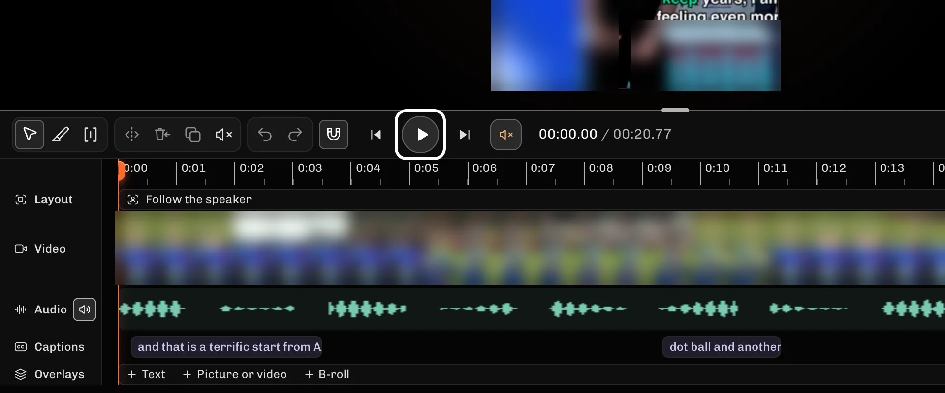ReelFyre Editor, step 1: Press Play (Space) and watch the preview while the playhead moves along the timeline.