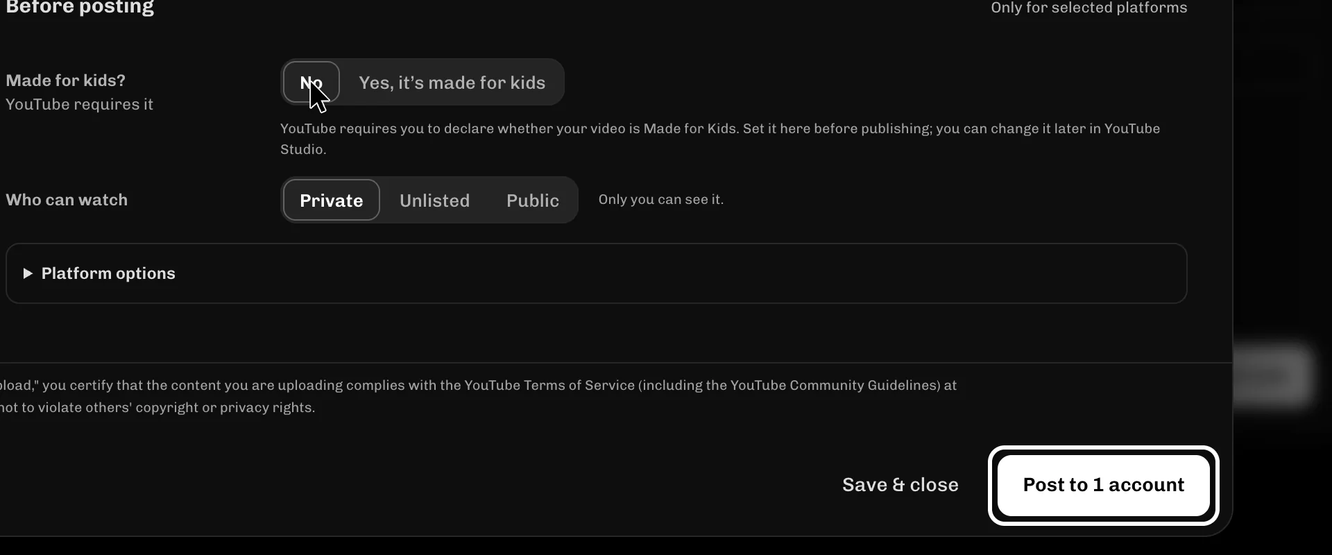 ReelFyre Create a post, step 5: Select Post to 1 account to publish your clip.