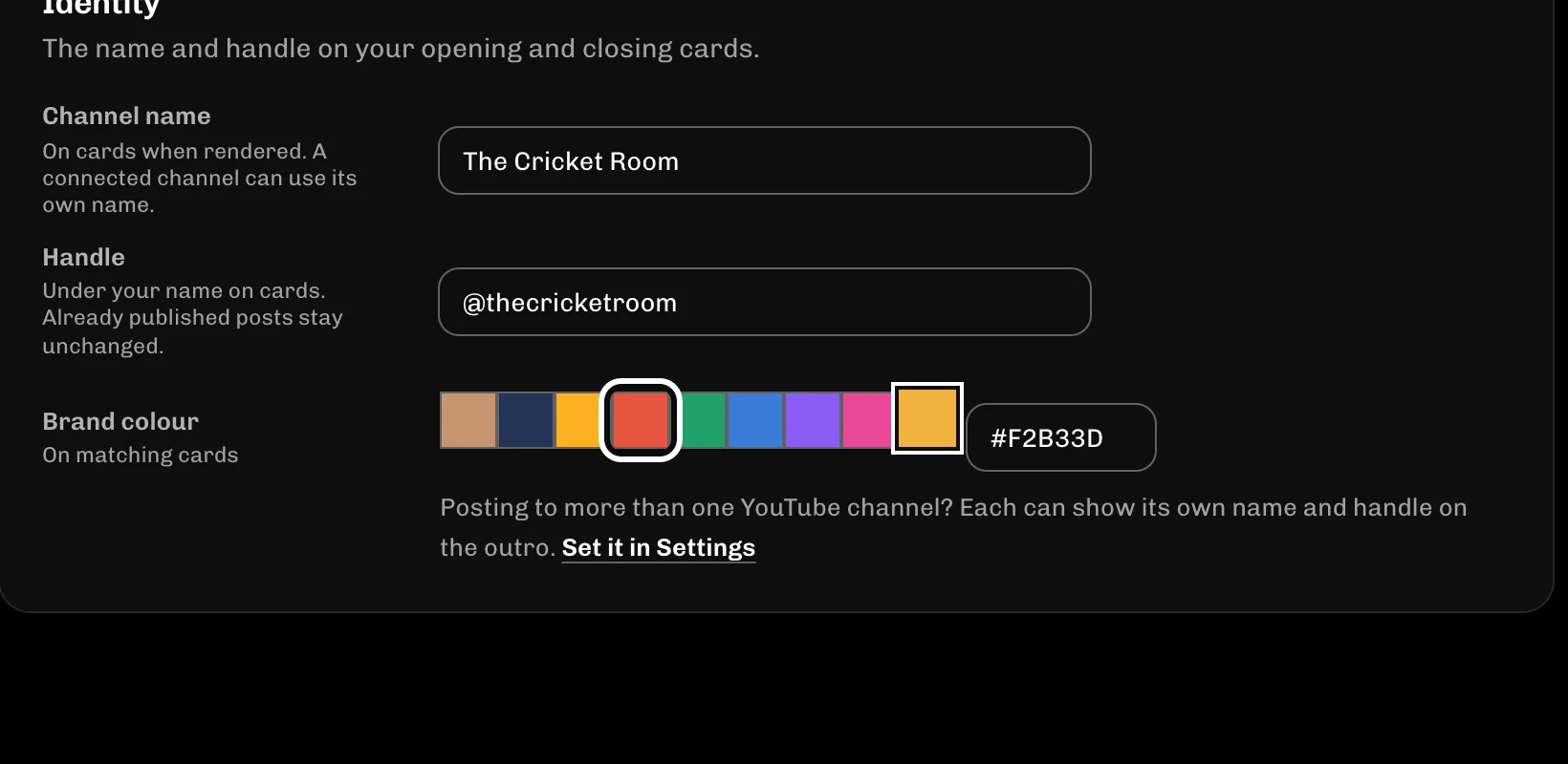 ReelFyre Brand kit, step 4: Under Brand colour, select the colour that matches your brand.