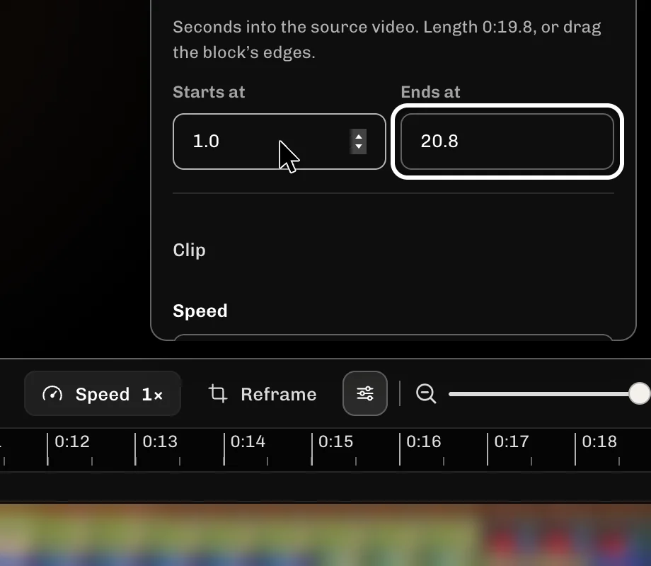 ReelFyre Editor, step 4: In Ends at, enter the second it should stop and press Enter.